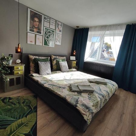 Dian Feelhome Banska Bela Екстериор снимка