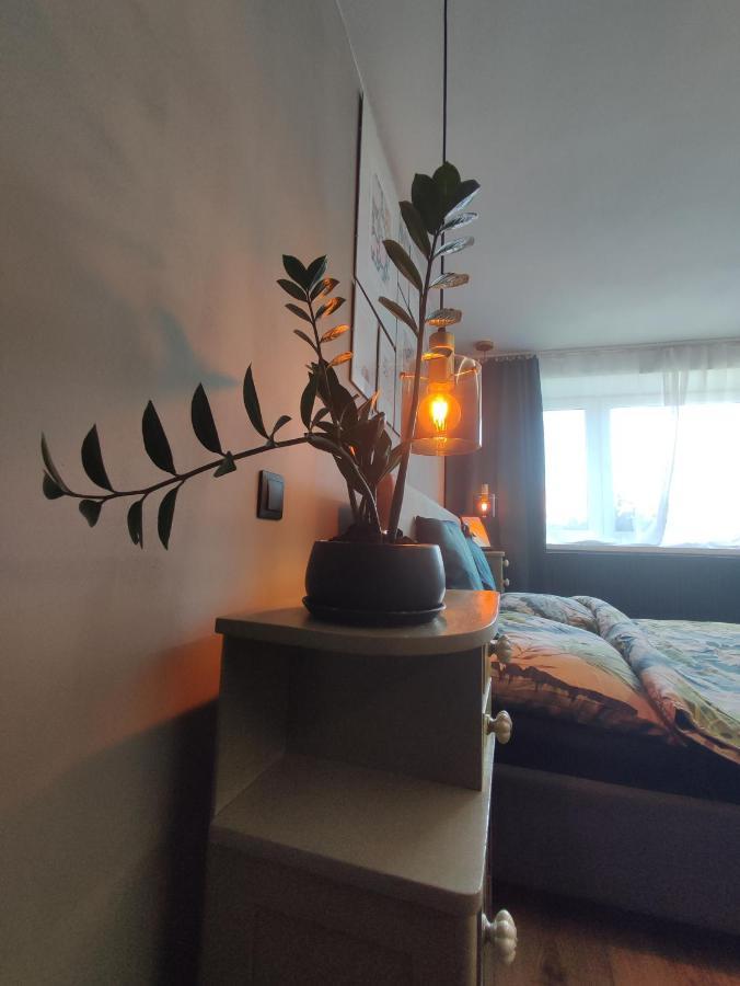 Dian Feelhome Banska Bela Екстериор снимка