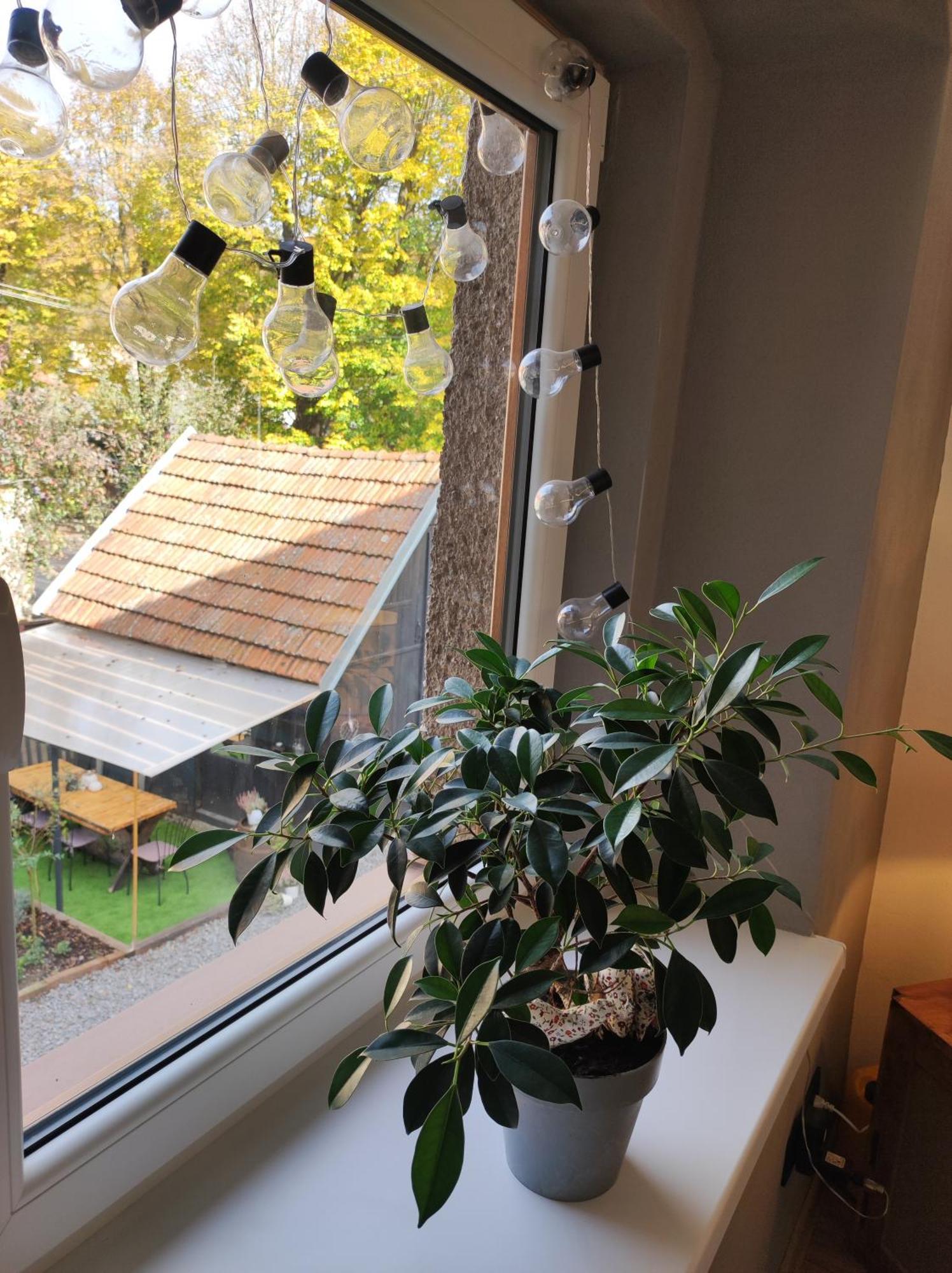 Dian Feelhome Banska Bela Екстериор снимка